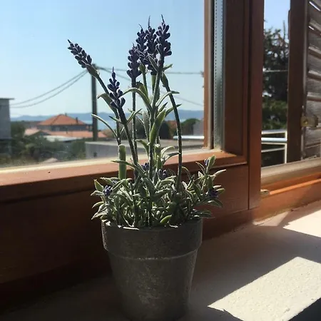 Orange&blue Apartman